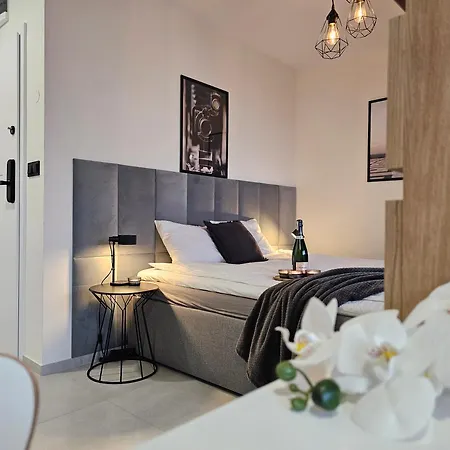 Urban Premium Baildona 18b, Free Garage, Self Check-in Katowice