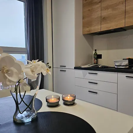 Urban - Baildona 103b - Balcony - Free Garage Apartment Katowice