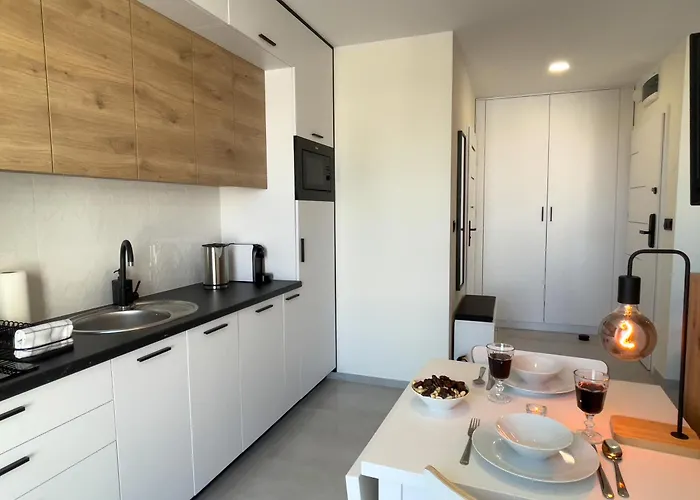 Urban Premium Baildona 18b, Free Garage, Self Check-in Διαμέρισμα Κατοβίτσε