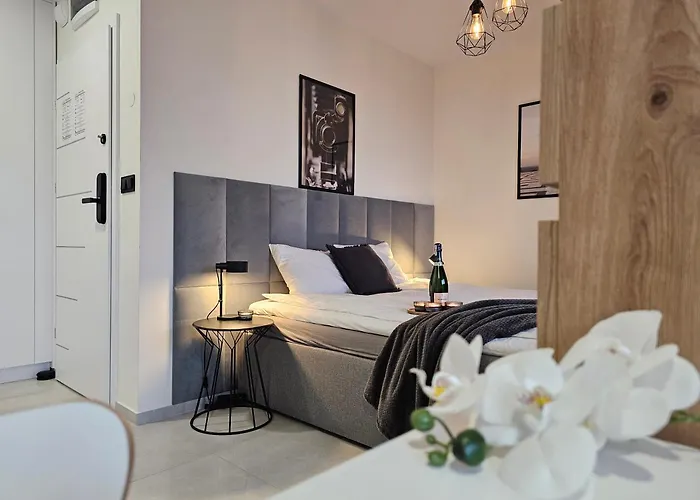 Urban Premium Baildona 18b, Free Garage, Self Check-in Κατοβίτσε