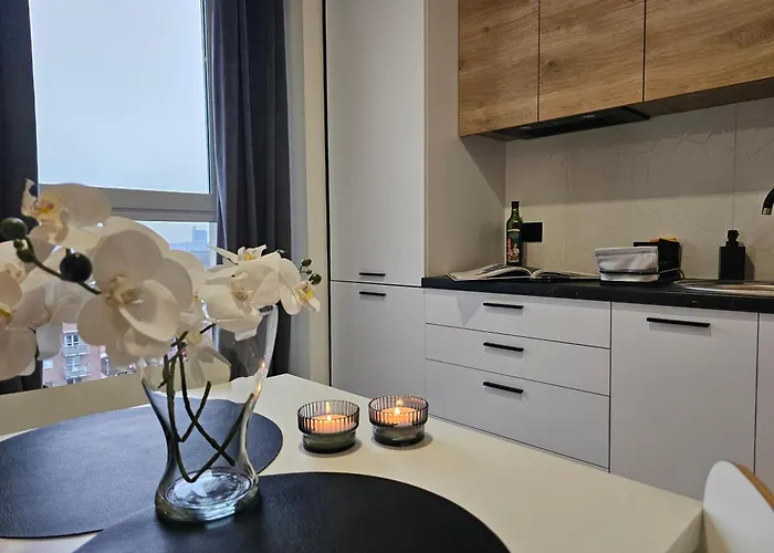 Urban Premium Baildona 18b, Free Garage, Self Check-in Διαμέρισμα Κατοβίτσε